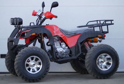 купить Квадроцикл STALKER 250 Lux в Москве - фото 