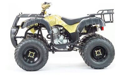 купить Квадроцикл MOTOLAND 250 Adventure (2021 Г.) в Москве - фото 