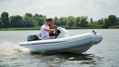 купить Лодка РИБ GRAND SILVER LINE S330L в Москве - фото 