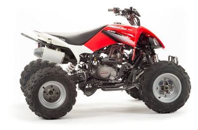 купить Квадроцикл MOTOLAND 125S (2020 Г.) в Москве - фото 