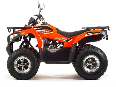 купить Квадроцикл MOTOLAND 200 Max в Москве - фото 