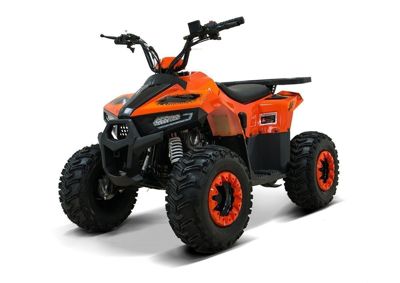 купить Квадроцикл ATV Giro в Москве - фото 