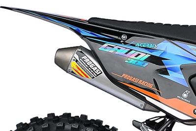 купить Мотоцикл кроссовый эндуро ПРОГАСИ Gaudi 300 ENDURO в Москве - фото 