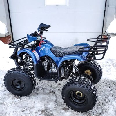 купить Квадроцикл MOTOLAND 125 Fox A в Москве - фото 