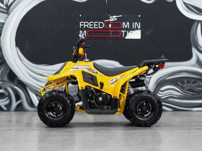 купить Квадроцикл SHARMAX 130 Cross в Москве - фото 