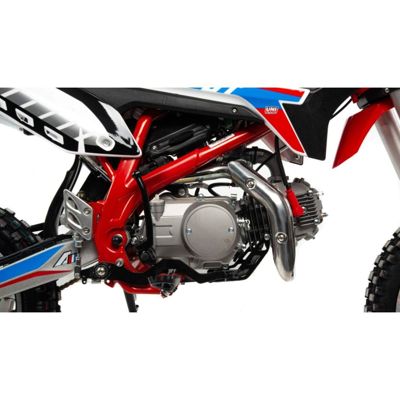 купить Мотоцикл APOLLO 125 DT125 PITBIKE в Москве - фото 