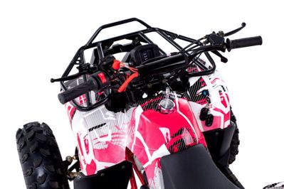 купить Квадроцикл WELS Thunder 125 Basic в Москве - фото 