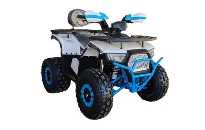 купить Квадроцикл YACOTA Sirius 125 в Москве - фото 