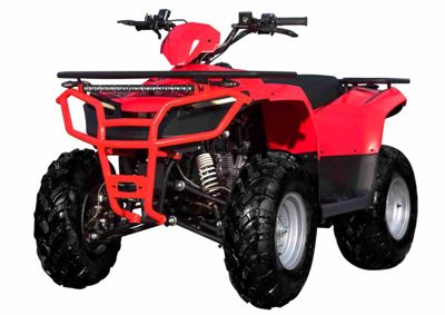 купить Квадроцикл SHARMAX Luxe 300  (2024) в Москве - фото 