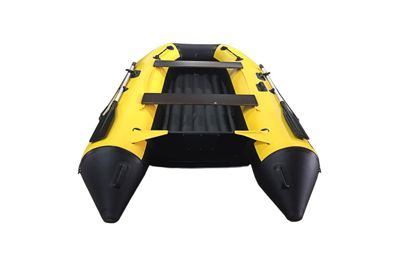 купить Лодка ПВХ BIG BOAT Regat 310 в Москве - фото 