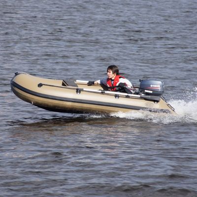 купить Лодка ПВХ BADGER DL 340 AL в Москве - фото 