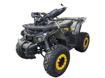 купить Квадроцикл TAO 125 X в Москве - фото 