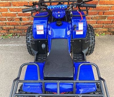 купить Квадроцикл MOWGLI Bold 8 в Москве - фото 