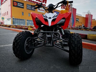 купить Квадроцикл MOTOLAND 250S Pro в Москве - фото 