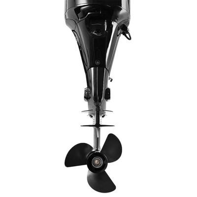 купить 4х-тактный лодочный мотор ФРЕГАТ EF60FUEL-T в Москве - фото 