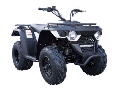 купить Квадроцикл LINHAI-YAMAHA M200 в Москве - фото 