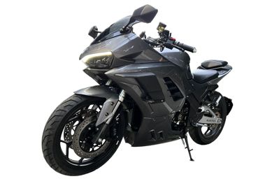 купить Электромотоцикл ELECTRON Panigale S (2 кВт) в Москве - фото 