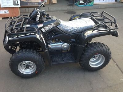 купить Квадроцикл ARMADA ATV 200L в Москве - фото 