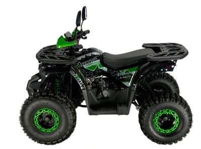 купить Квадроцикл AVANTIS Classic 8 New lux в Москве - фото 