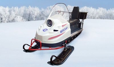 купить Снегоход ВЕПСКАР Мини в Москве - фото 