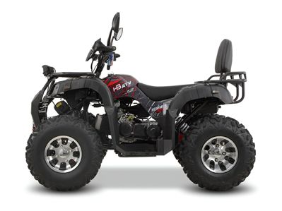 купить Квадроцикл GRIZZLY 200 Premium в Москве - фото 