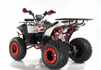 купить Квадроцикл WELS EVO X2 в Москве - фото 