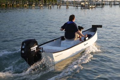 купить 4х-тактный лодочный мотор TOHATSU MFS 30 EPTL в Москве - фото 