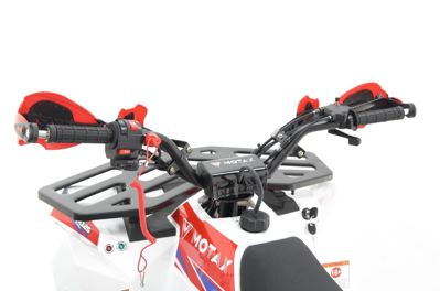 купить Квадроцикл MOTAX Grizlik A125 в Москве - фото 