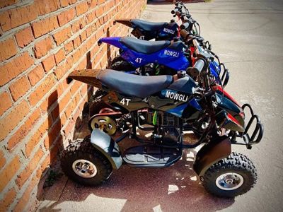 купить Квадроцикл MOWGLI 4T в Москве - фото 