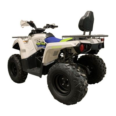 купить Квадроцикл MOTOLAND Shark 200 в Москве - фото 