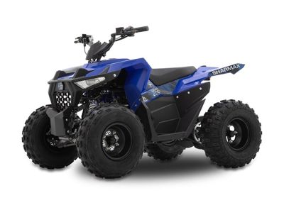 купить Квадроцикл SHARMAX Cross 200 (2024) в Москве - фото 