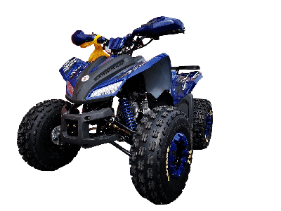 купить Квадроцикл MOTOLAND 125 Coyote Pro в Москве - фото 