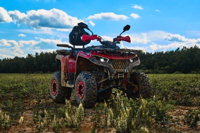 купить Квадроцикл SHARMAX Hummer 320 RX в Москве - фото 