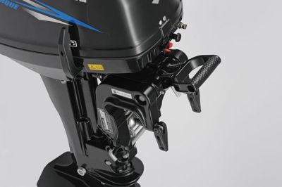 купить 2х-тактный лодочный мотор SUZUKI DT15AS в Москве - фото 