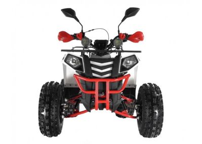 купить Квадроцикл WELS Thunder EVO LUX X 125 в Москве - фото 