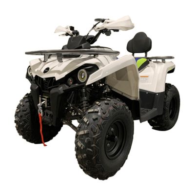 купить Квадроцикл MOTOLAND Shark 200 в Москве - фото 