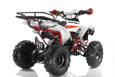 купить Квадроцикл MOTAX ATV Raptor Super LUX 125 cc в Москве - фото 