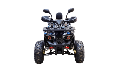 купить Квадроцикл BISON 125 Hunter LD в Москве - фото 