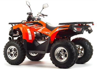 купить Квадроцикл MOTOLAND 200 Max в Москве - фото 