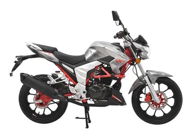 купить Мотоцикл REGULMOTO Raptor 250 New в Москве - фото 