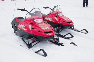 купить Снегоход РУССКАЯ МЕХАНИКА Тайга Рысь Детский в Москве - фото 