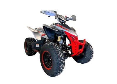 купить Квадроцикл MOTOLAND RALLY 250 в Москве - фото 