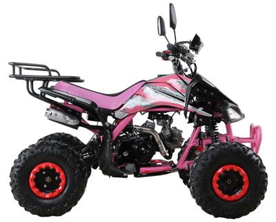 купить Квадроцикл MOTAX ATV T-Rex Super LUX 125 cc в Москве - фото 