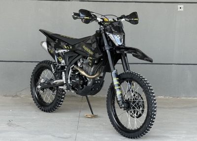 купить Мотоцикл FIDELIS Et Fortis S1 CB250-F ENDURO в Москве - фото 