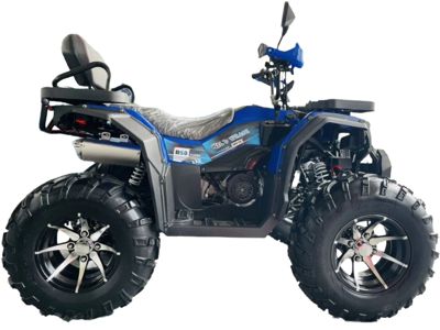 купить Квадроцикл MOTOLAND 300 Wild Track LUX в Москве - фото 