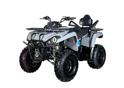 купить Квадроцикл AVANTIS Forester Long 200 Premium в Москве - фото 