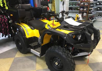 купить Квадроцикл СТЕЛС ATV 500 YS Leopard в Москве - фото 