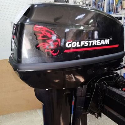купить 2х-тактный лодочный мотор GOLFSTREAM T 9.9 BMS Б/У в Москве - фото 