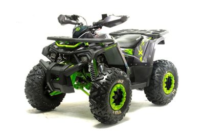 купить Квадроцикл MOTOLAND Wild X Баланс. вал. (2021 Г.) в Москве - фото 