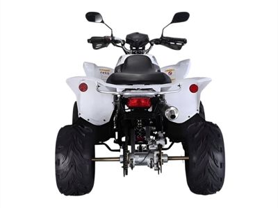 купить Квадроцикл RATO RТ250SТ-2 в Москве - фото 
